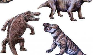 恐龙的起源、发展和灭绝的过程是怎样的 恐龙的演变过程